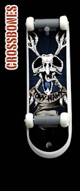 Birdhouse SkateDrive Crossbones Model