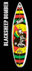 ...LOST SurfDrive Blacksheep Bomber