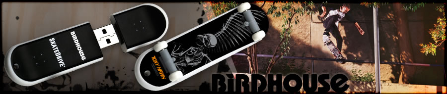 SkateDrive : Birdhouse : Full Skull Model