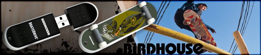 SkateDrive : Birdhouse : Ptero Model